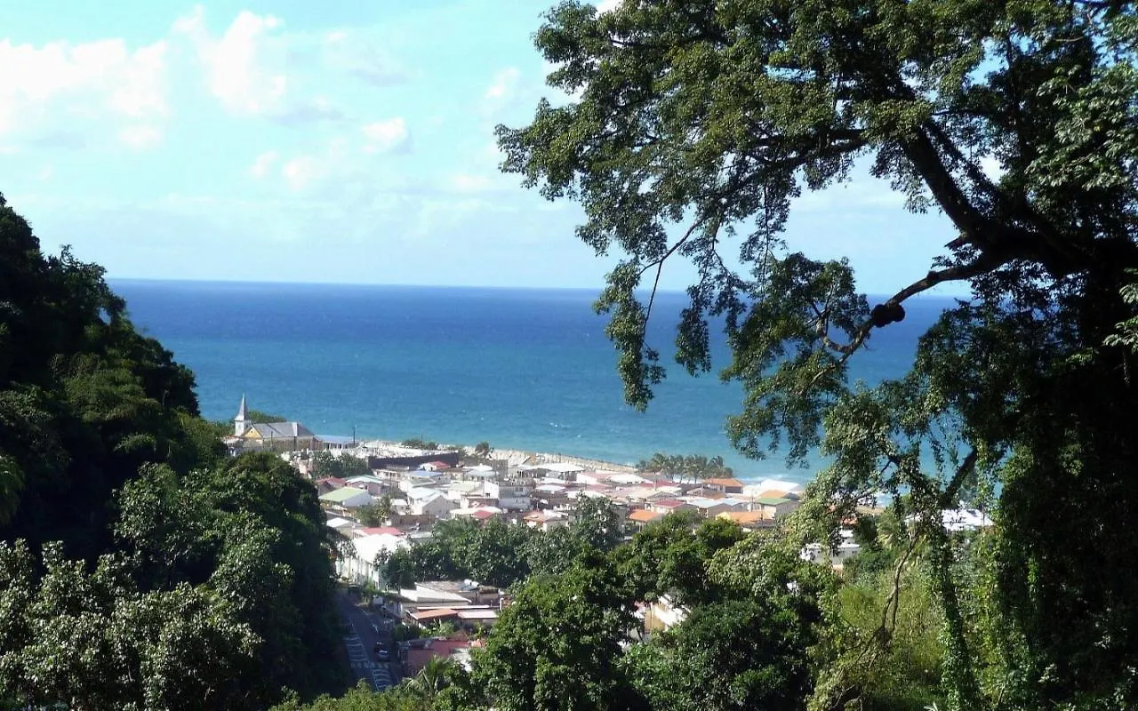 L'Etape Randonnee De Grand'Riviere Apartment Martinique