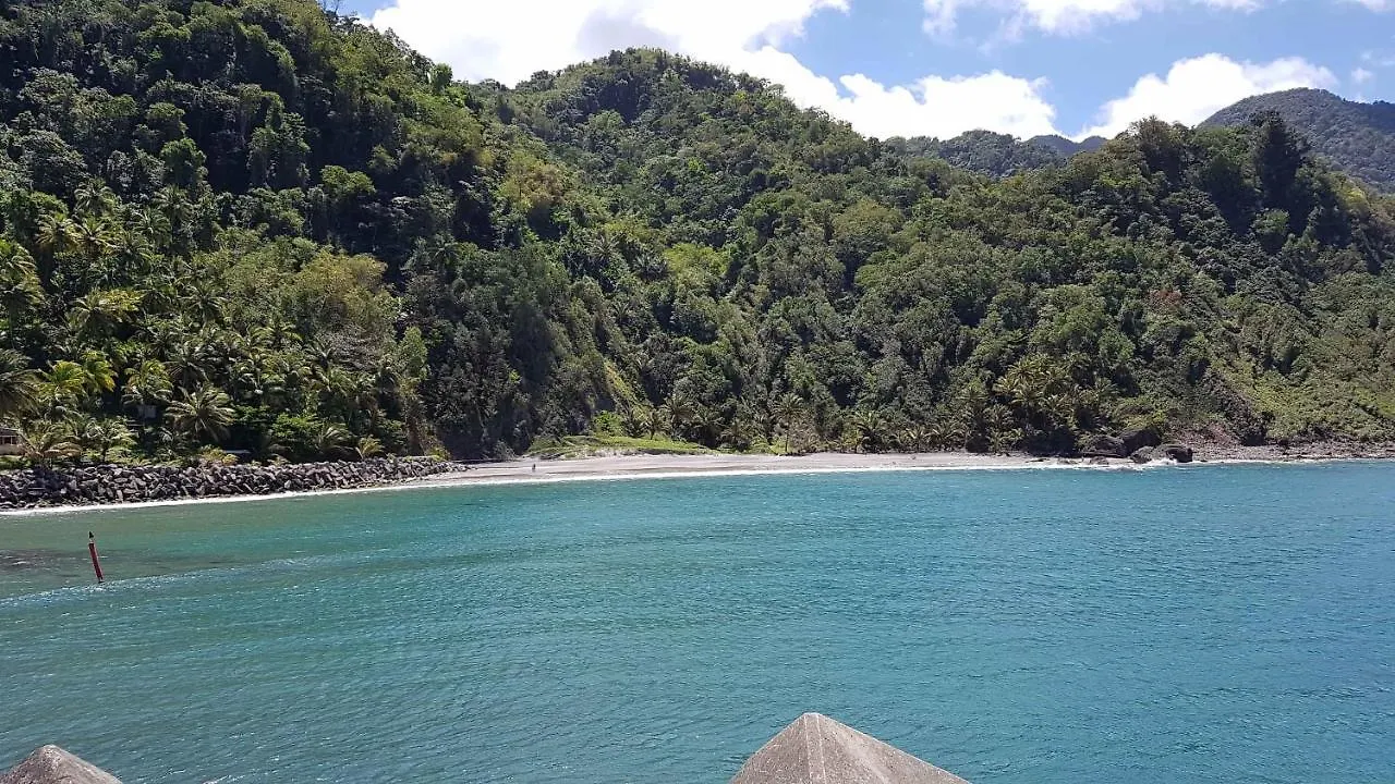 L'Etape Randonnee De Grand'Riviere Apartment 0*,  Martinique