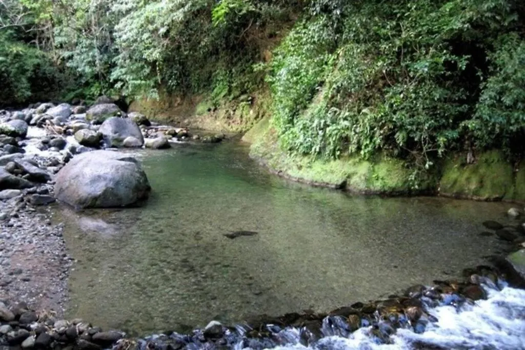 L'Etape Randonnee De Grand'Riviere Apartment Martinique